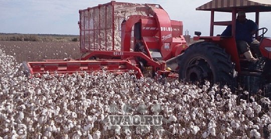 Хлопкоуборочный комбайн Воронеж - изображение 1
