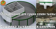 Оборудование для сушки семян тыквы сушилка