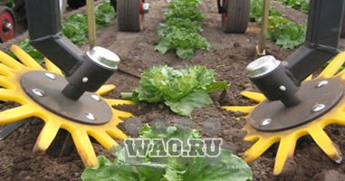 пальчиковый культиватор Воронеж - изображение 1