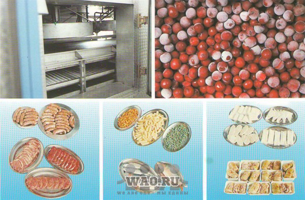 Оборудование для шоковой заморозки Воронеж - изображение 1