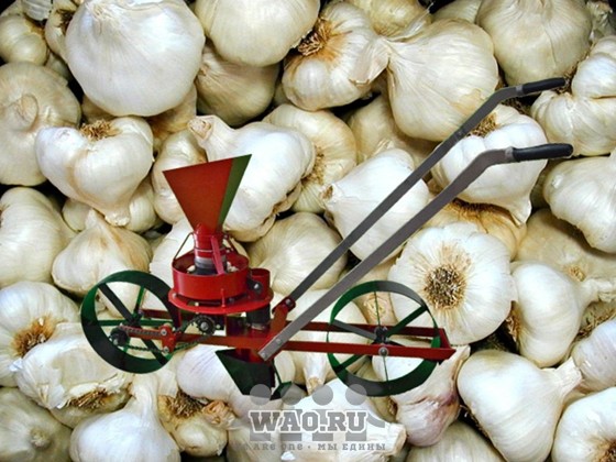 Ручная сеялка для чеснока Воронеж - изображение 1