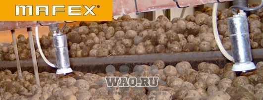 Протравливатель картофеля MAFEX Potato/Fruit Воронеж - изображение 1