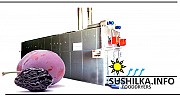 Сушилки промышленные для овощей и фруктов
