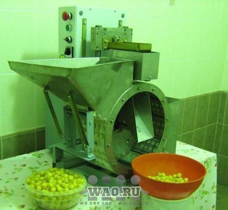 Машина для удаления косточек из фруктов Воронеж - изображение 1