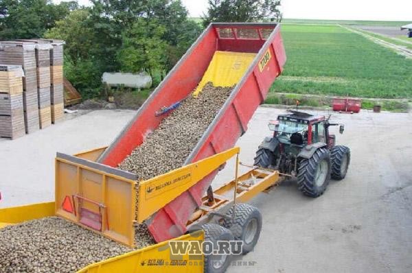 Стопшок -система защита картофеля, лука от ударов Воронеж - изображение 1