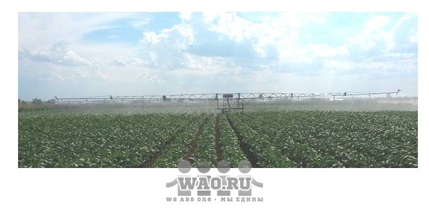 Консоль для бережного полива Воронеж - изображение 1