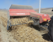 Тюковый пресс-подборщик CICORIA