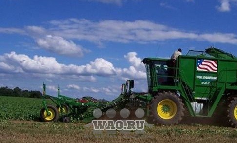 Самоходный огурцеуборочный комбай Воронеж - изображение 1