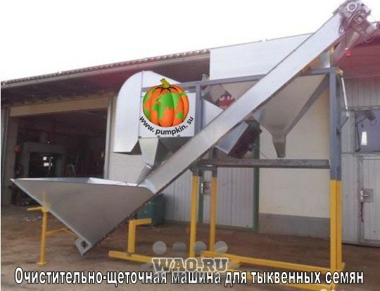 Очистительно-щеточная машина для тыквенных семян Воронеж - изображение 1