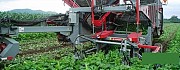 Прицепной огурцеуборочный комбайн