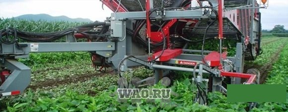 Прицепной огурцеуборочный комбайн Воронеж - изображение 1