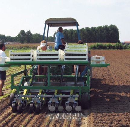 Рассадопосадочная машина самоходная и прицепная Воронеж - изображение 1