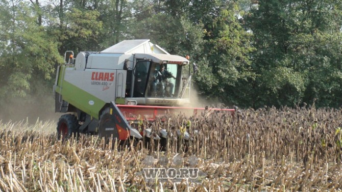 Жатки для уборки подсолнечника Dominoni (Италия) Воронеж - изображение 1