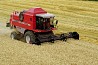 Клавишные комбайны MF 7200 Activa