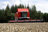 Клавишные комбайны MF 7200 CENTORA