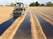 Пленкоукладчик Hortech Р