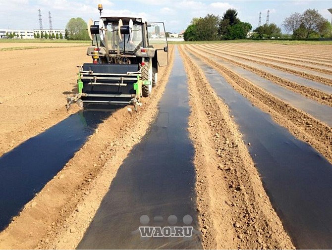 Пленкоукладчик Hortech Р Воронеж - изображение 1