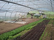 Парогенератор для обеззараживания почвы