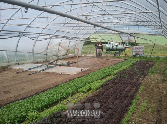 Парогенератор для обеззараживания почвы Воронеж - изображение 1