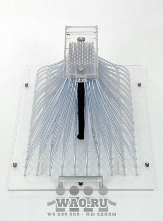 Ручная кассетная сеялка для семян рассады Воронеж - изображение 1