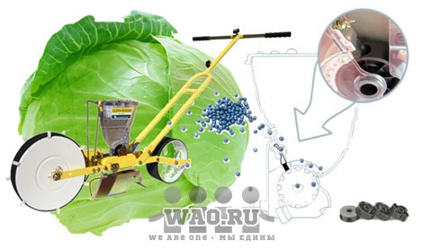 Сеялка ручная для капусты Воронеж - изображение 1