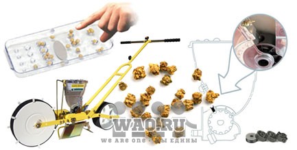 Сеялка ручная для свеклы Воронеж - изображение 1