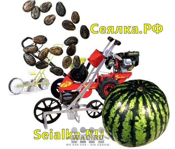 Сеялки для арбузов Воронеж - изображение 1