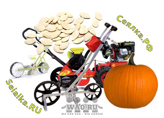 Сеялка для тыквы ручная механическая и вакуумная Воронеж - изображение 1