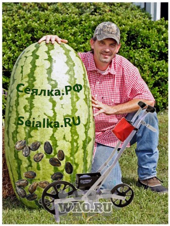 Earthway (EarthWay 1001-b) Воронеж - изображение 1