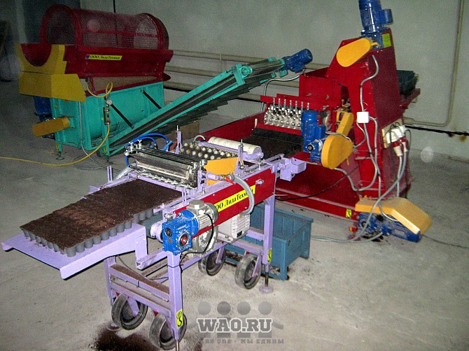 Линия высева семян в кассеты ЛЗК Воронеж - изображение 1