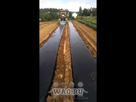 Пленкоукладчик для укладки мульчирующей пленки на гряду, почву Воронеж - изображение 1