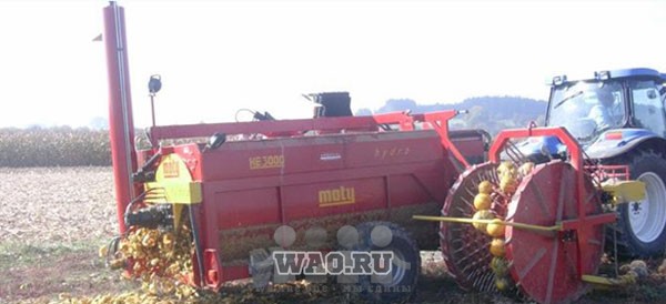 Тыквоуборочные комбайны, комбайн для тыквы, комбайн для уборки тыквы Воронеж - изображение 1