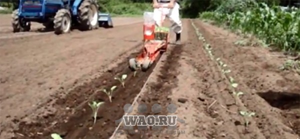 Paperpot ручная скоростная высадка рассады Воронеж - изображение 1